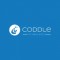 Coddle Technologies