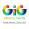 GIG Consultants